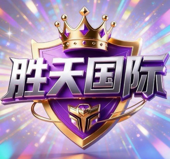 胜天国际